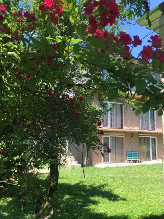 Dani'S House Apartment Kobuleti Exterior photo